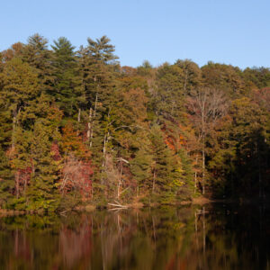 Southern Lady Autumn 2019 - Image 6
