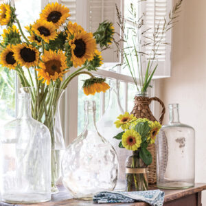 Southern Lady Autumn 2019 - Image 4