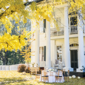 Southern Lady October 2019 - Image 3