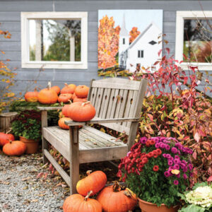 Victoria Classics Autumn Bliss 2019 - Image 5