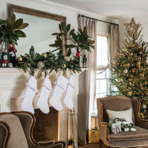 Alternative view of Southern Lady November/December 2019