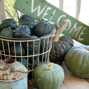 Southern Lady Classics Autumn Decorating 2019 - Image 5