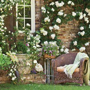 Southern Lady Southern Gardens 2020 - Image 4