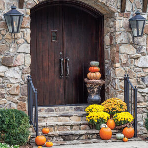 Southern Lady Autumn in the South 2020 - Image 5