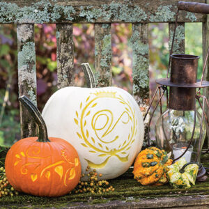 Victoria Classics Autumn Bliss 2020 - Image 4