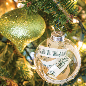 Southern Lady Holidays 2020 - Image 4