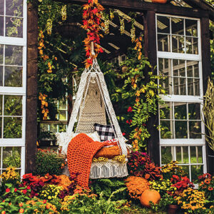 The Cottage Journal Autumn 2021 - Image 4