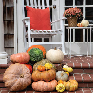 Southern Lady Autumn in the South 2021 - Image 5