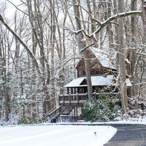 The Cottage Journal Winter 2022 - Image 4
