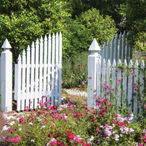 Garden with Gate Featured in Victoria May June 2022