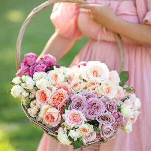 Living with Roses - Image 4