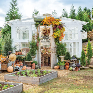 outside raised gardens with flowers and pumpkin