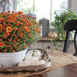 fall pumpkin flowers on dining table kitchen