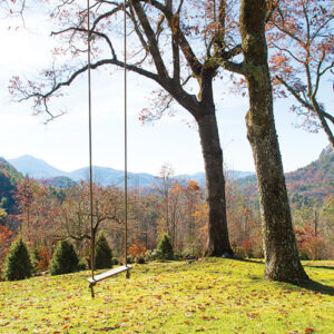 tree swing looking at view of mountains