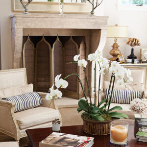 accent chairs and fireplace