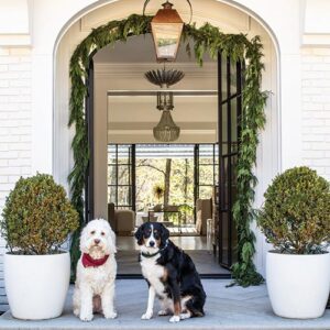 dogs sitting in front of front door decorated with garland