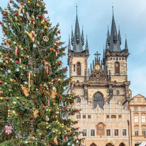 Large outdoor christmas tree in front of castle