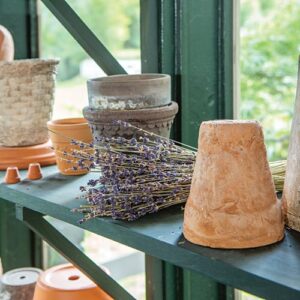 green potting shed with clay pots
