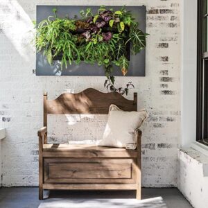 Outdoor wooden bench under greenery