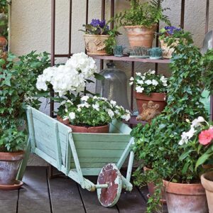 Outdoor garden with teal wagon