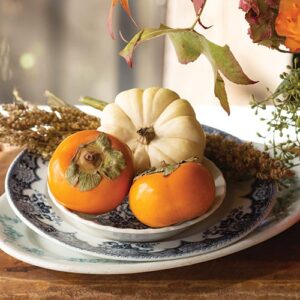 Pumpkin Table Center Piece