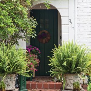 Plant front door entry way