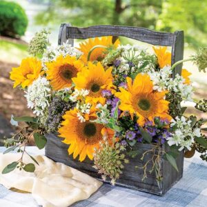 Sunflowers