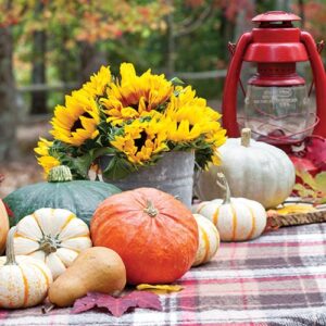 Pumpkin and floral decor