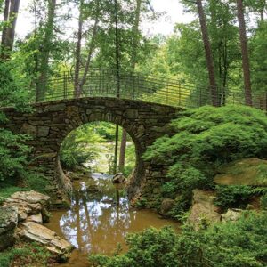 Outdoor hiking bridge