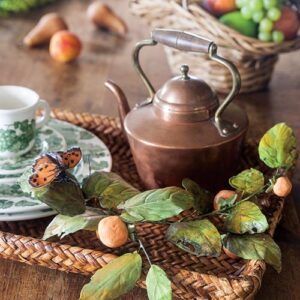 favorite tea kettle