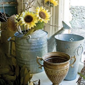 Shed watering pot and flowers