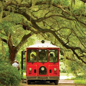 Charleston tea Garden
