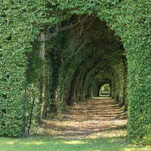Greenery Archway