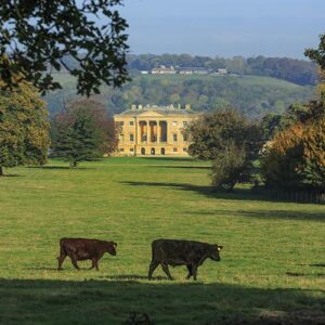 Basildon Park