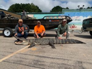 Walt Merrell Alligator and Friends