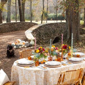 Set to serve outdoor fall tablesetting