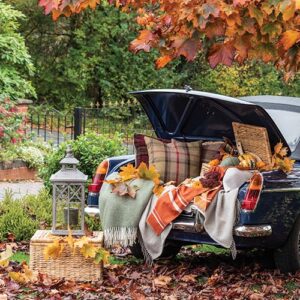 Outdoor fall car