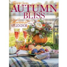 Autumn Bliss 2024 Cover