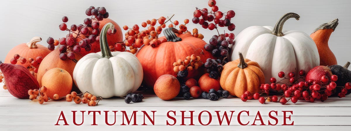 Autumn Showcase Banner