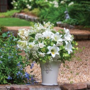 Vic Seasonal Flowers white lilies in a vase