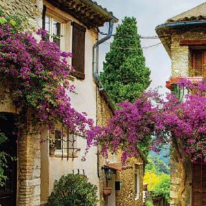 French Home Style 2025 featuring french style home exterior with vines and pink flowers