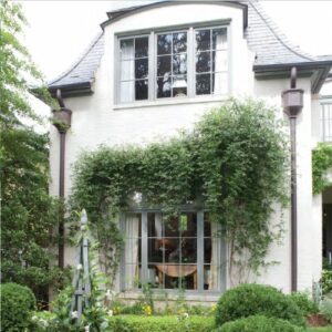 French Home Style 2025 featuring french style home exterior with vines