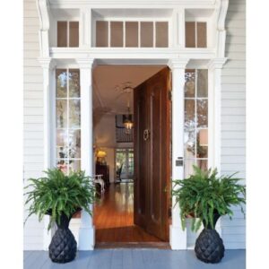 Southern Cottage Style 2025 feat. front door with ferns