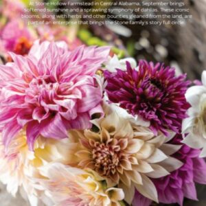 The Cottage Journal Autumn Stone Hollow Farms Alabama
