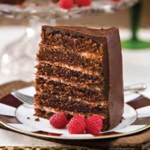 Layer Cake Magazine featuring chocolate raspberry cake