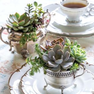 Southern Lady July/ August Issue featuring succulents in silver cups