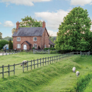 ON OUR BOOKSHELF Brimming with charm