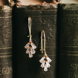 Earrings in a book