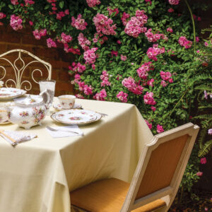 Outdoor tea setting with butter yellow tablecloth and pink flowers