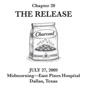 Bipolar Blonde Chapter Opener